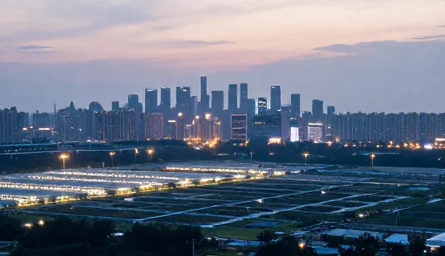 软件开发团队建设如何应对项目延期问题？